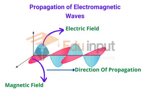 how are electromagnetic waves similar to ocean waves